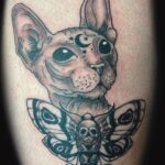 hairless gothic cat and skull butterfly tattoo by brynn johnson