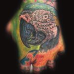 realism parrot tattoo by donavan moore