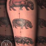 The anatomy of a hippo new school tattoo by Donavan Moore.
